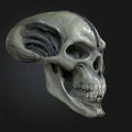 Đầu Lâu Alien 3D - Mô Hình Đáng Sợ Cho Dân Khoa Học Viễn Tưởng - Thumbnail 7