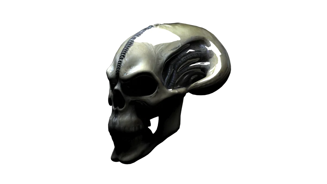 Đầu Lâu Alien 3D - Mô Hình Đáng Sợ Cho Dân Khoa Học Viễn Tưởng - Image 8
