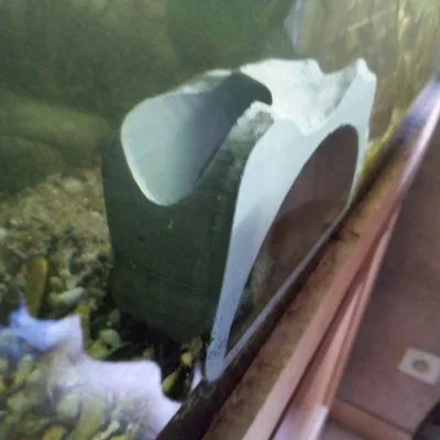 Hang đá cho bể cá (Aquarium Cave)