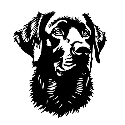 Tranh Treo Tường Chó Labrador (Labrador Wall Art)