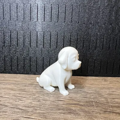 Cún Con Ngồi (Puppy Sitting)