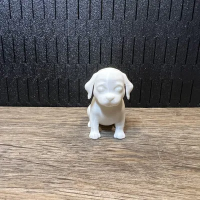 Cún Con Ngồi (Puppy Sitting)