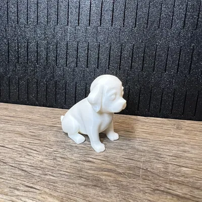 Cún Con Ngồi (Puppy Sitting)