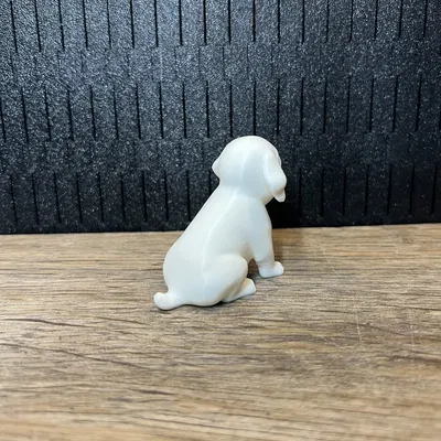 Cún Con Ngồi (Puppy Sitting)