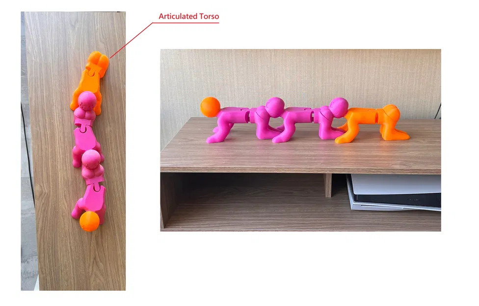 Rết Người Khớp Nối (Articulated Human Centipede) - Không Cần Support - Image 5
