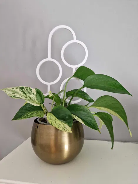 Giàn Leo Cây Cảnh Hình Tròn - Trang Trí & Nâng Đỡ Tuyệt Vời - Image 1