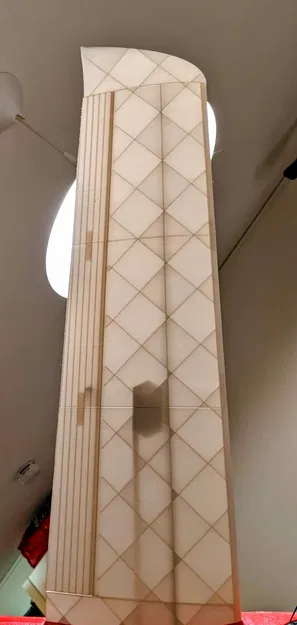 Cánh mới cho tàu lượn LIDL BETA - Image 2