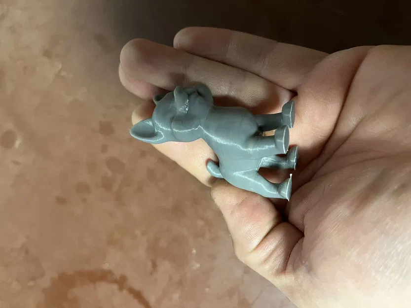 Chó hoang dễ thương - Image 7