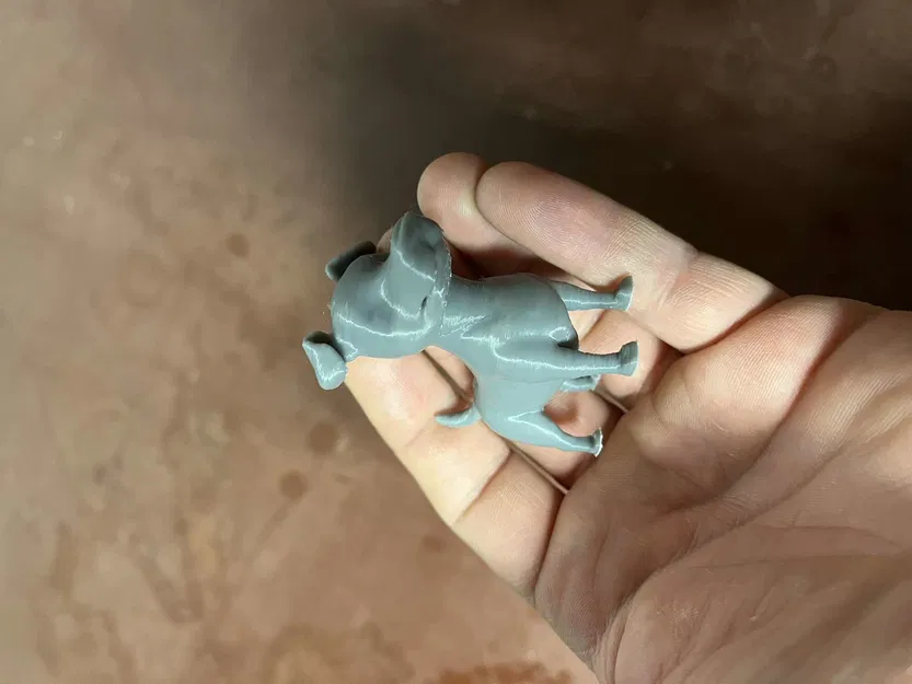 Chó hoang dễ thương - Image 9