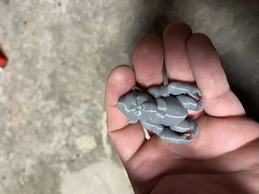 Gia đình Gorilla có con - Image 2