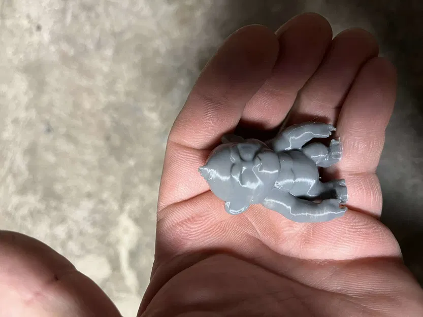 Gia đình Gorilla có con - Image 4