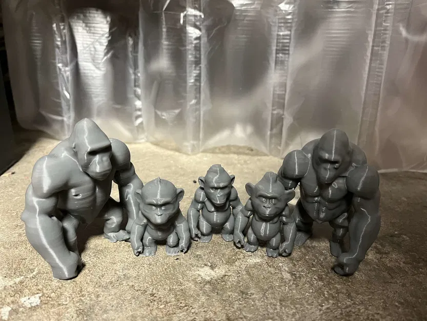 Gia đình Gorilla có con - Image 8