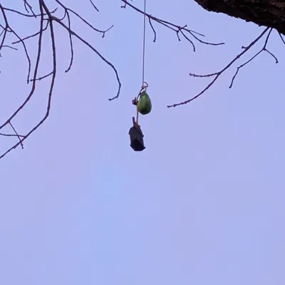 Vỏ case Heltec V3 tích hợp pin 4000mAh và ăng-ten LoRa