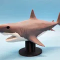 Mô Hình Cá Mập Megalodon 3D Đẹp Kèm Chân Đế - Thumbnail 1