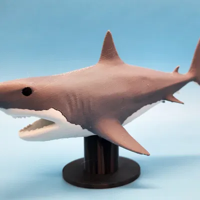 Mô Hình Cá Mập Megalodon 3D Đẹp Kèm Chân Đế