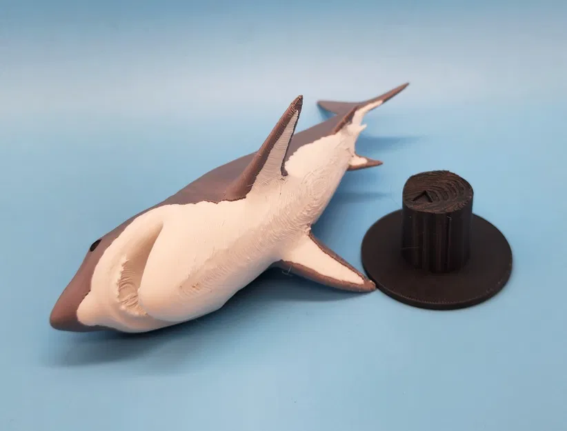 Mô Hình Cá Mập Megalodon 3D Đẹp Kèm Chân Đế - Image 2