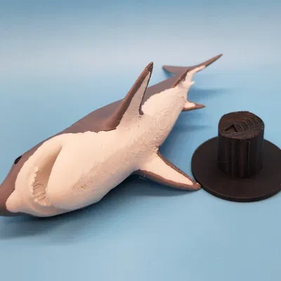 Mô Hình Cá Mập Megalodon 3D Đẹp Kèm Chân Đế