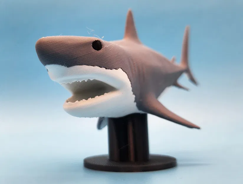 Mô Hình Cá Mập Megalodon 3D Đẹp Kèm Chân Đế - Image 3