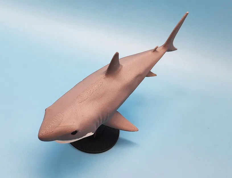 Mô Hình Cá Mập Megalodon 3D Đẹp Kèm Chân Đế - Image 4