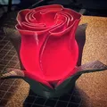 Nụ hồng Valentine: Electric Tea light cho Spiral Vase Rose - Thumbnail 3