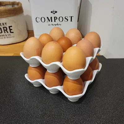 Giá Đỡ Trứng 3D Tiện Lợi - Sắp Xếp Gọn Gàng 9 Quả