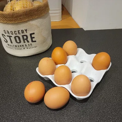 Giá Đỡ Trứng 3D Tiện Lợi - Sắp Xếp Gọn Gàng 9 Quả