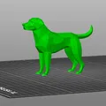 Mô Hình Chó Labrador Low Poly 3D Độc Đáo - Thumbnail 2