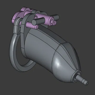 Thiết bị khóa dương vật in 3D (Printable male chastity device)