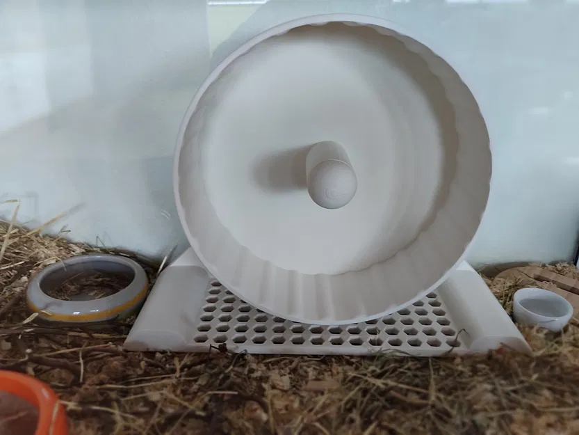 Bánh xe chạy Hamster XL kèm tùy chọn phần nâng - Image 2