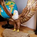 Eagle – Mẫu STL đại bàng trang trí để in 3D - Thumbnail 1