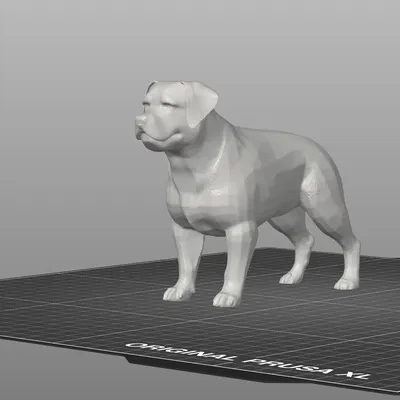 Mô Hình Chó Rottweiler 3D - Trang Trí Độc Đáo Cho Người Yêu Chó