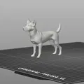 Mô Hình 3D Chó Basenji - Tượng Chó Basenji Đẹp - Thumbnail 2
