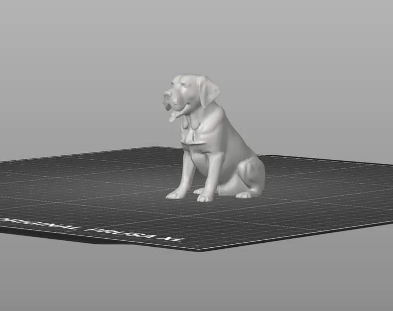 Mô Hình Chó Labrador Ngồi 3D Đẹp Tuyệt - Image 3