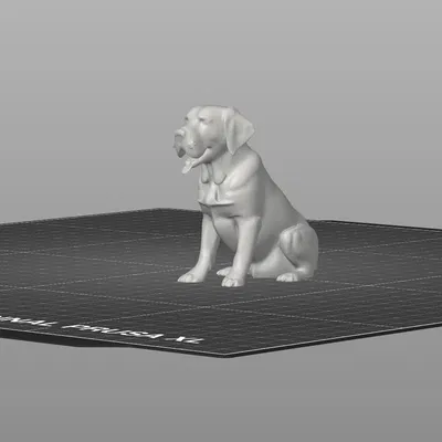 Mô Hình Chó Labrador Ngồi 3D Đẹp Tuyệt