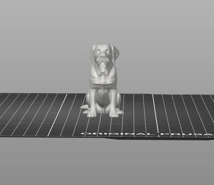 Mô Hình Chó Labrador Ngồi 3D Đẹp Tuyệt - Image 4