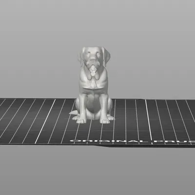 Mô Hình Chó Labrador Ngồi 3D Đẹp Tuyệt