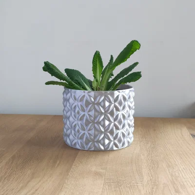 Chậu Cây In 3D Họa Tiết Hoa Độc Đáo - In Vase Mode