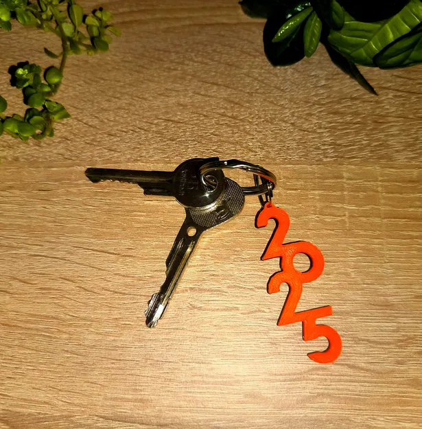 Móc khóa 2025 (2025 Keychain) - Image 3