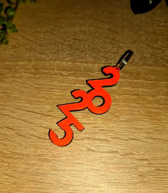 Móc khóa 2025 (2025 Keychain) - Image 4