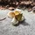 Lars_690_2752608