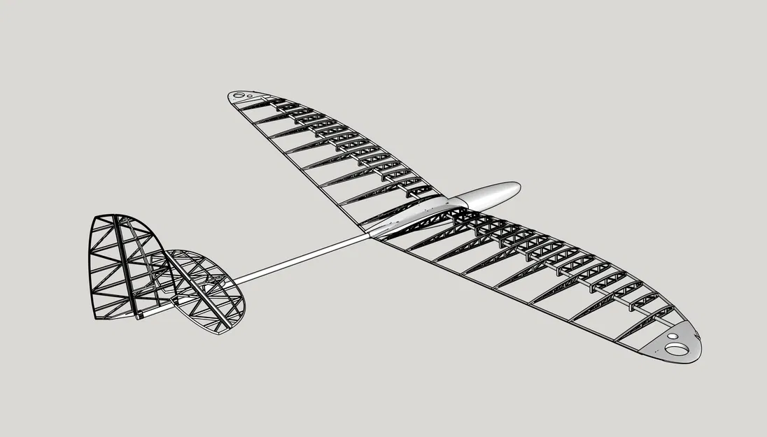 Mô Hình Máy Bay Lượn Carbon Bug Thermic In 3D - Image 1