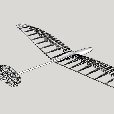Mô Hình Máy Bay Lượn Carbon Bug Thermic In 3D