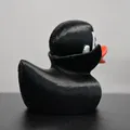 Vịt Ma Cà Rồng (Vampire Duck) - Thumbnail 3
