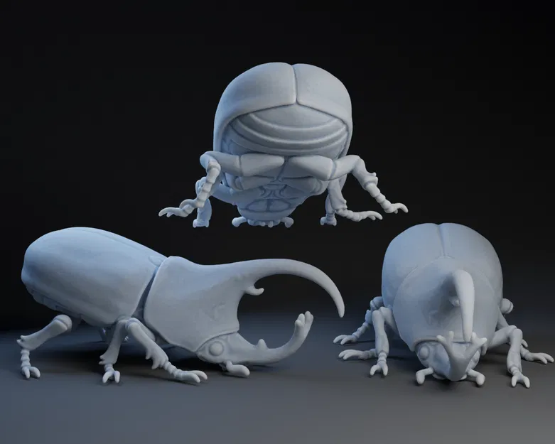 Bọ cánh cứng tê giác (Rhinoceros Beetle) - Image 1