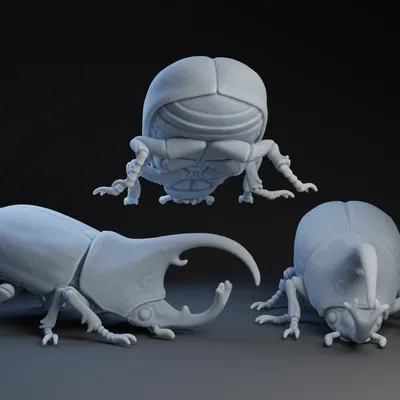 Bọ cánh cứng tê giác (Rhinoceros Beetle)