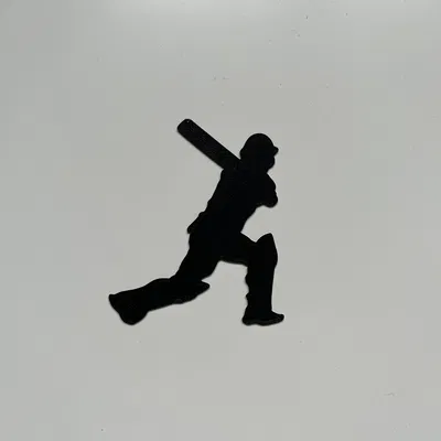 Tranh Treo Tường Người Chơi Cricket 3D Độc Đáo