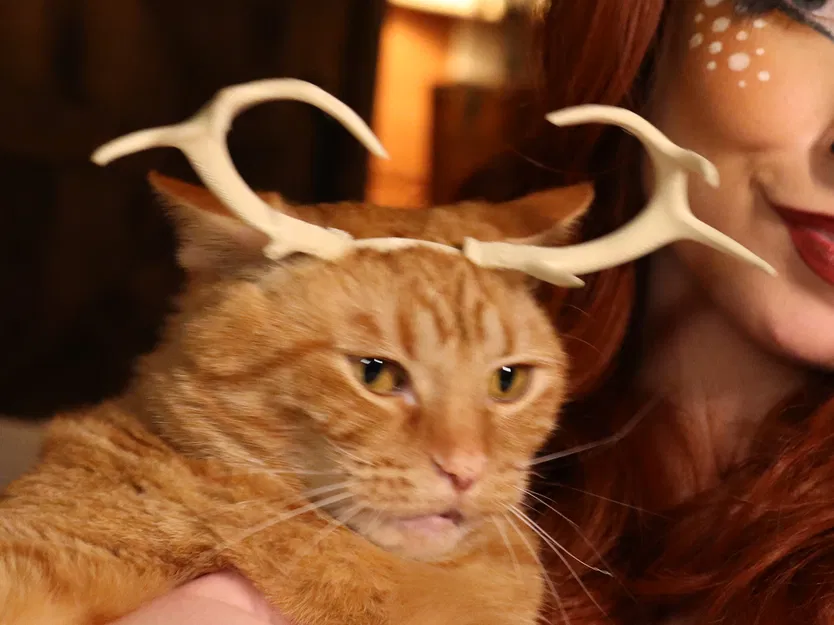 Cặp Sừng Nai Tí Hon Cho Mèo - Phụ Kiện 3D Độc Đáo - Image 2