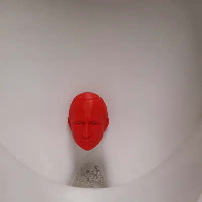 Đầu Putin dùng cho nhiều mục đích (Putin heads for various use)