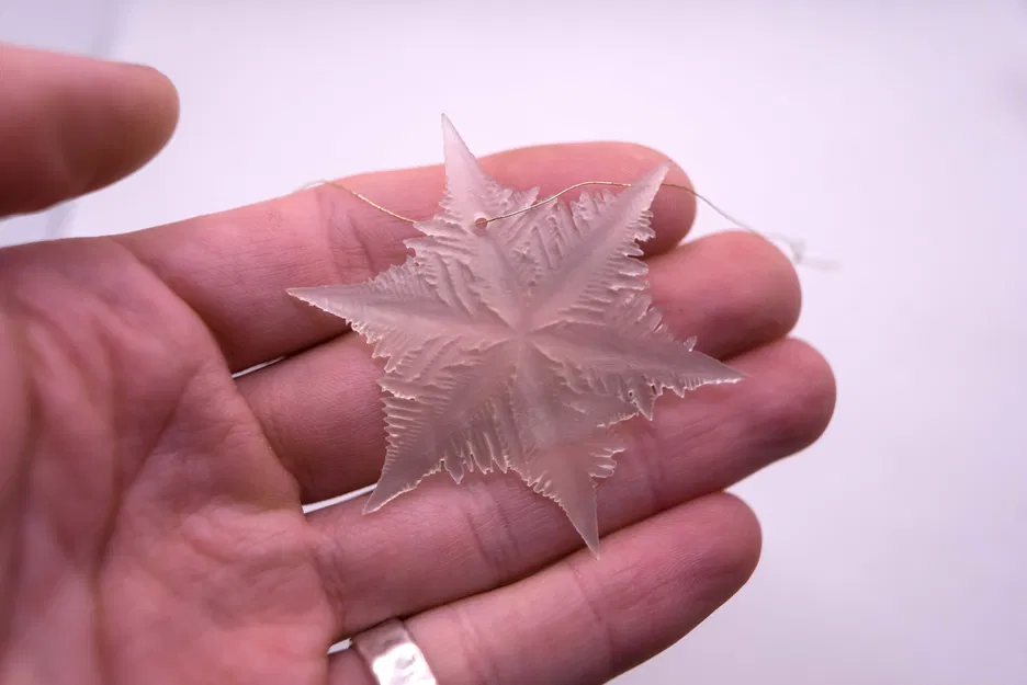 Một Trăm Bông Tuyết Khoa Học - Image 3