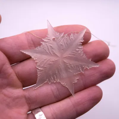 Một Trăm Bông Tuyết Khoa Học